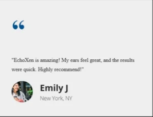 EchoXen Customer Review