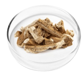 Nervovive Marshmallow Root