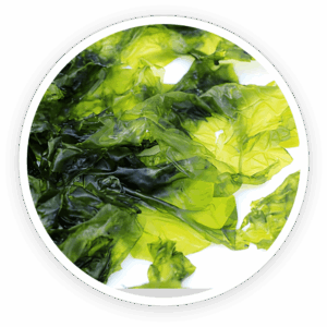 Nori Yaki Extract Powder