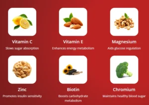VitaSeal Ingredients